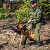 Vojensk polcia SR na Medzinrodnej vojenskej a policajnej K9 konferencie v Posku